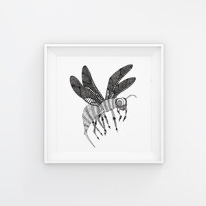 Bug Tales | Maitri Dalicha