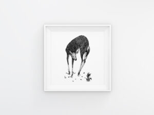Oh Deer | Maitri Dalicha