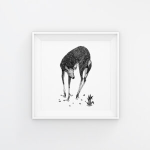Oh Deer | Maitri Dalicha