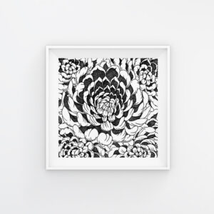 Peonies | Maitri Dalicha