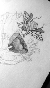 Alone and Blooming | Maitri Dalicha
