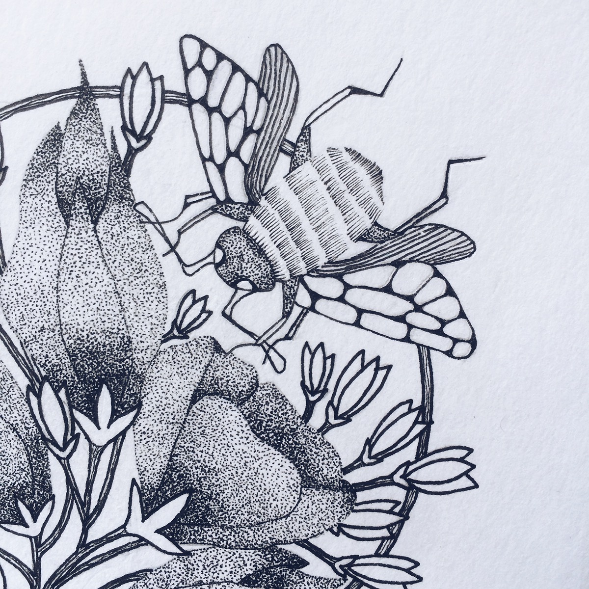 Alone and Blooming | Maitri Dalicha