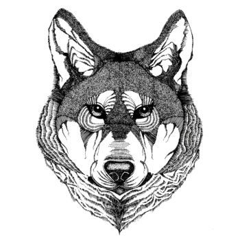 Wolf | Maitri Dalicha