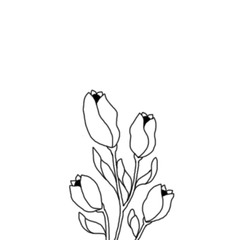 bloom-animation | Maitri Dalicha