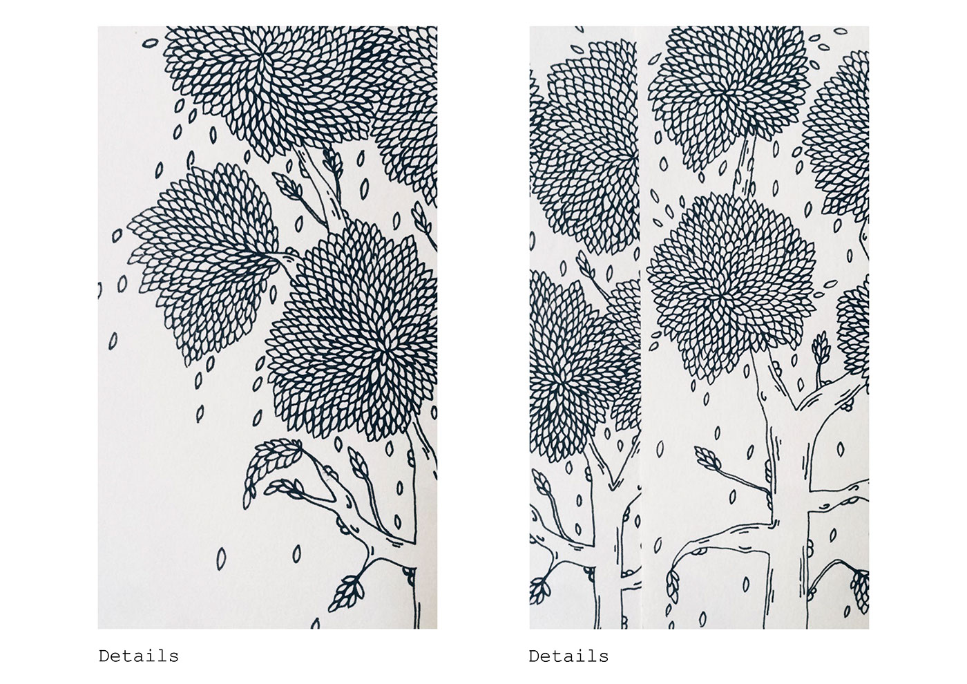 details | maitri dalicha